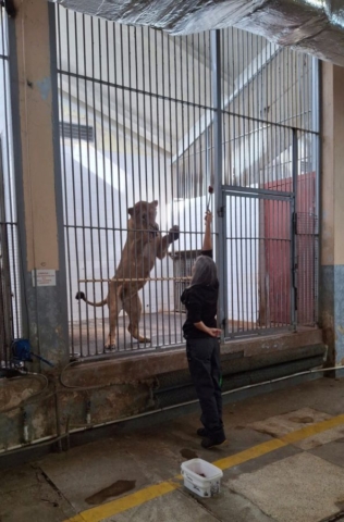 wycieczka_zoo06