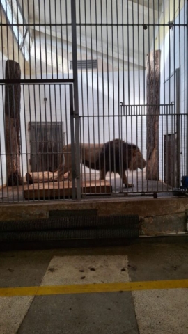 wycieczka_zoo07