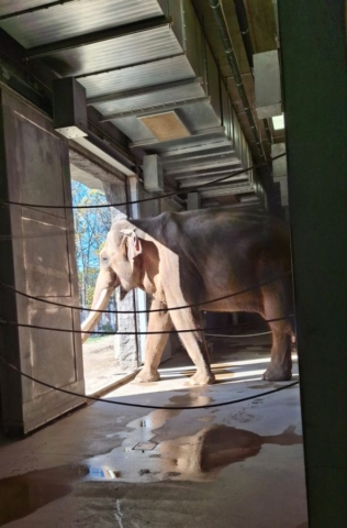 wycieczka_zoo10