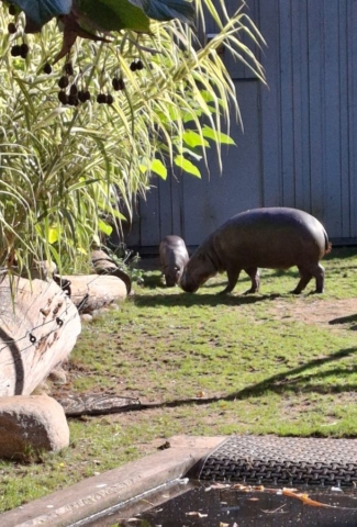 wycieczka_zoo11
