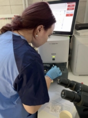 staze1 Zdj eciue orzedsrawia uczennicę w fartuchu laboratoryjnym w gabinecie, w trakcie badan laboratoryjnych. Po prawej stronie mikroskop, w głębi sprzęt medyczny do badań laboratoryjnych.