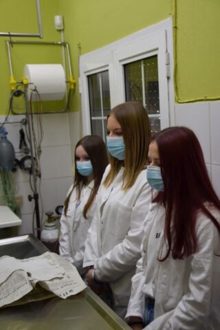 3 uczestniczki praktyki zagranicznej w fartuchach laboratoryjnych i maseczkach w pomieszczeniu, prawdopodobnie gabinet weterynaryjny.