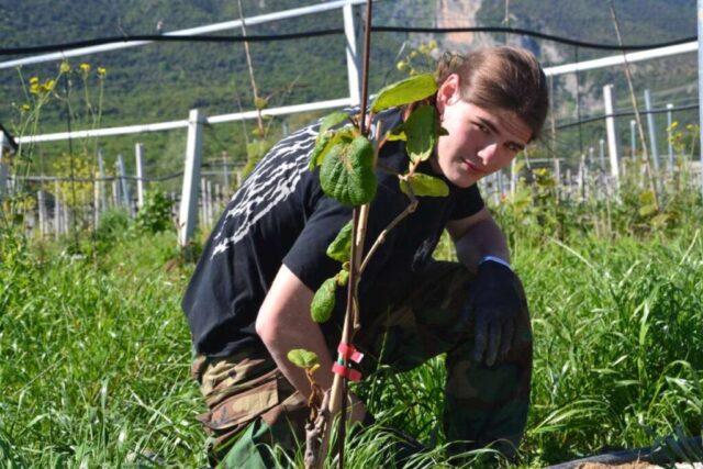 grecja_czwarty_piaty_dzien04 Uczestnik zagranicznych praktyk zawodowych wykonuje prace polowe.