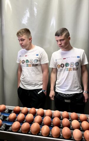 Dwóch uczestników zagranicznej praktyki zawodowej wewnątrz pomieszczenia fermy kur. Obserwują taśmociąg, na którym są jajka.