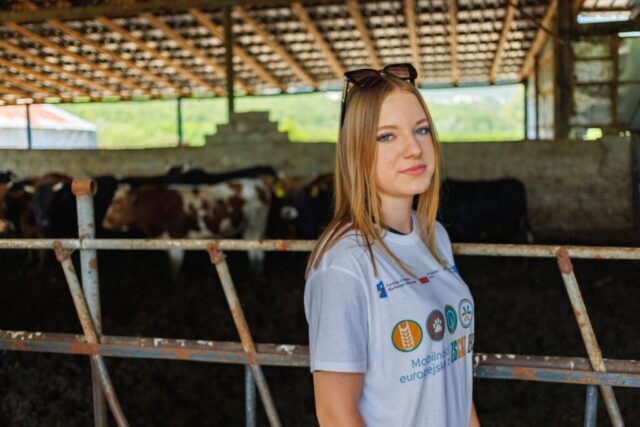 Uczestniczka zagranicznej praktyki zawodowej w białej koszulce wyjazdowej w oborze. w tle stado krów o różnym umaszczeniu.