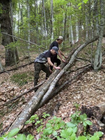 Dwóch uczestników zagranicznej praktyki zawodowej w terenie leśnym. Stoją przy powalonych drzewach i dokonują oględzin.