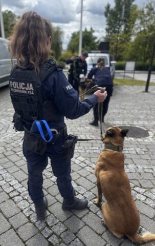 Funkcjonariuszka policji w umundurowaniu stoi tyłem, i trzyma w ręku smycz. Przy niej siedzi pies koloru brązowego. W tle uczeń klasy policyjnej w umundurowaniu trzyma innego psa na smyczy. Funkcjonariuszka policji pokazuje mu jak obchodzić sie z psem. W tle wozy olicyjne.