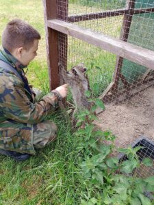 Uczeń bawiący się z szopem praczem znajdującym się w wolierze