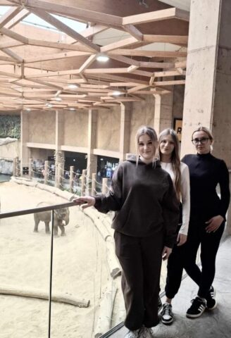3 uczennice stojące przy wybiegu dla słoni. W tle widoczni inni zwiedzający zoo.