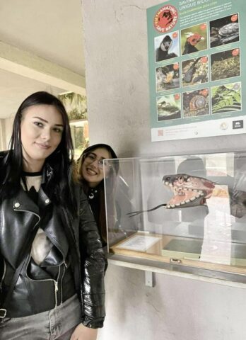 Dwie uczennice stoją przy gablocie, w której jest umieszczony model głowy węża.